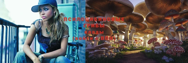 МДМА Краснослободск