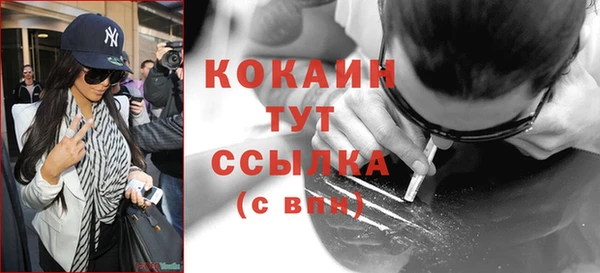 молекула духа Кулебаки